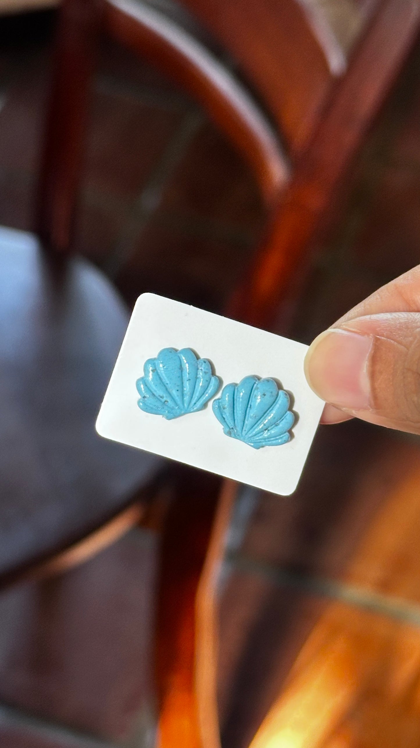 Seashells